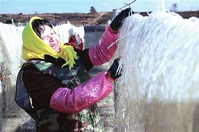 粉條加工 助農增收